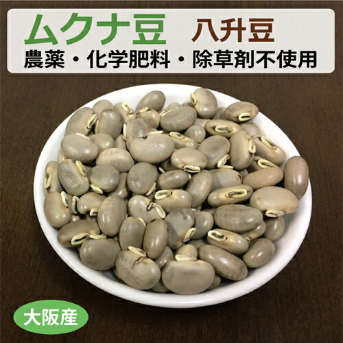 楽天市場】大阪産 生ムクナ豆 300g 八升豆（ハッショウマメ）※ゆう