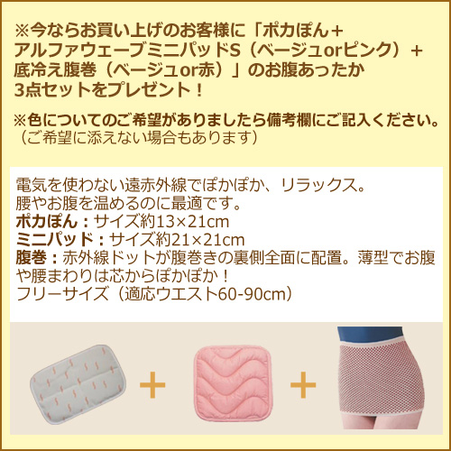 サンメディカル サンマットFL型 下敷用＋冷え対策5000円相当特典