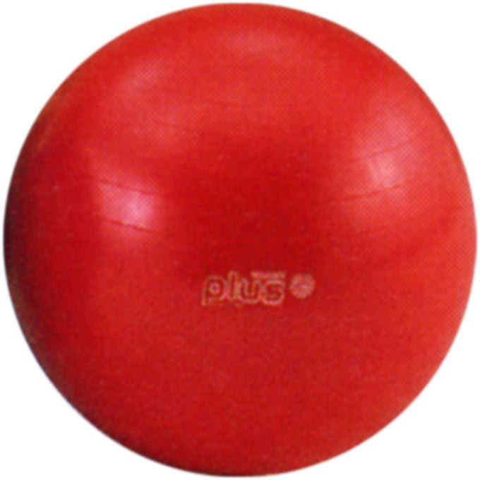 健康器具 ギムニクカラーボールＰＬＵＳ 直径55cm レッド 淡野製作所 D-5421R