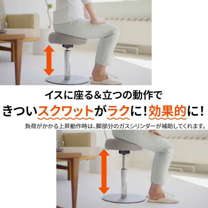 限定製作 楽天市場 健康器具 ル プリエスクワット ながら運動 座ったまま運動 トレーニング ミズノ C3jhi 送料無料 ケンクル 内祝い Csckerala Com