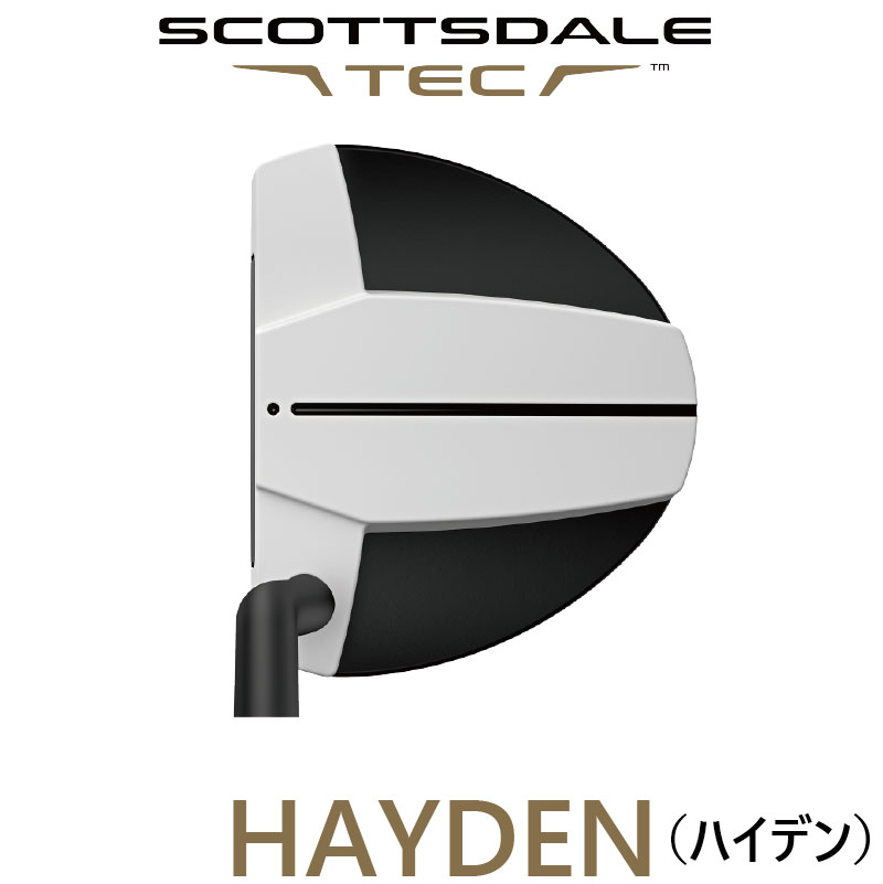 フォーティーン 結核症3アイアン
