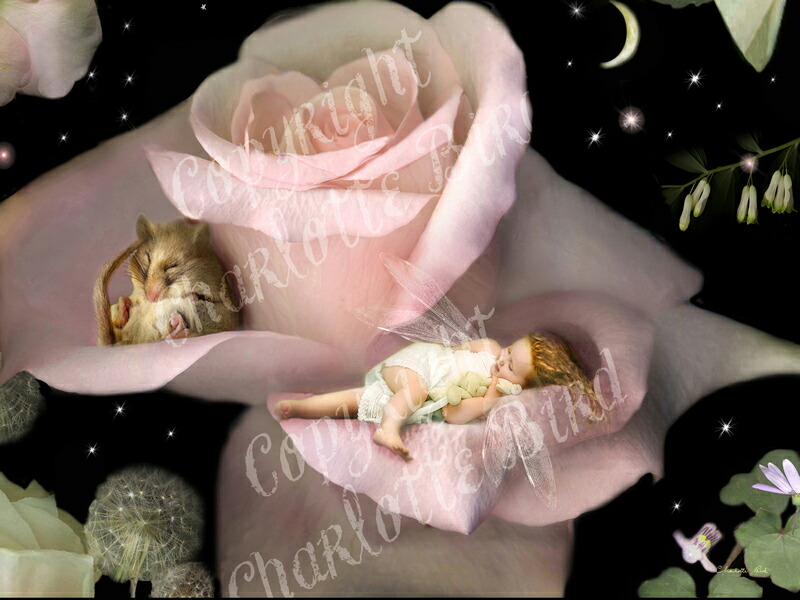 楽天市場】天使 妖精 絵画 スリーピー ヘッド （もう、おねむ