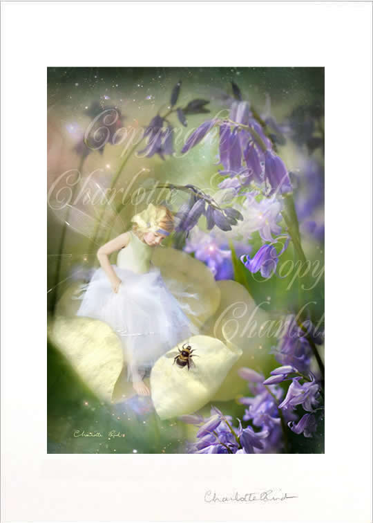 妖精　フォトグラフ　額付き 妖精 フォトグラフ 額付き 開運