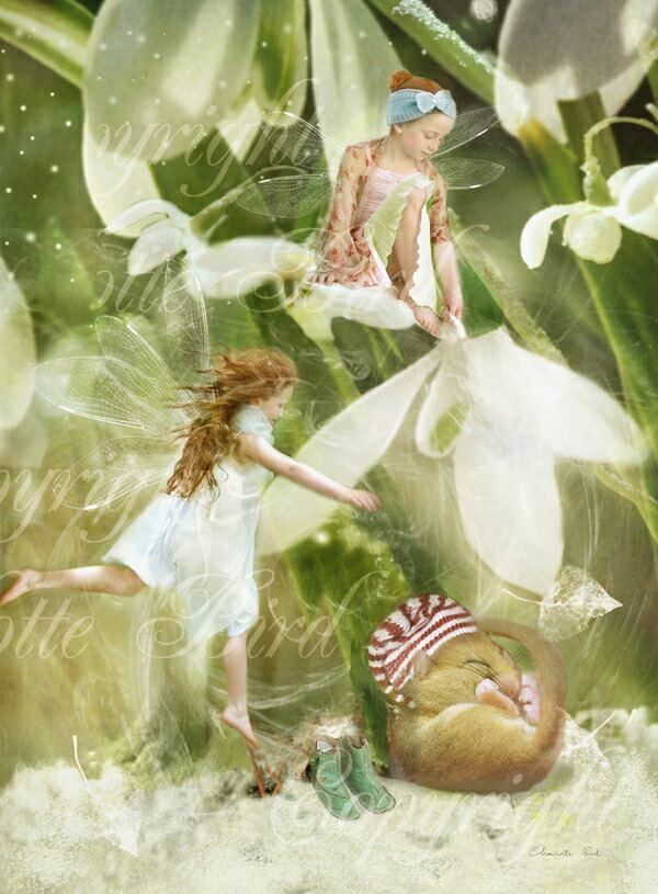 楽天市場】天使 妖精 絵画 スリーピー ヘッド （もう、おねむ