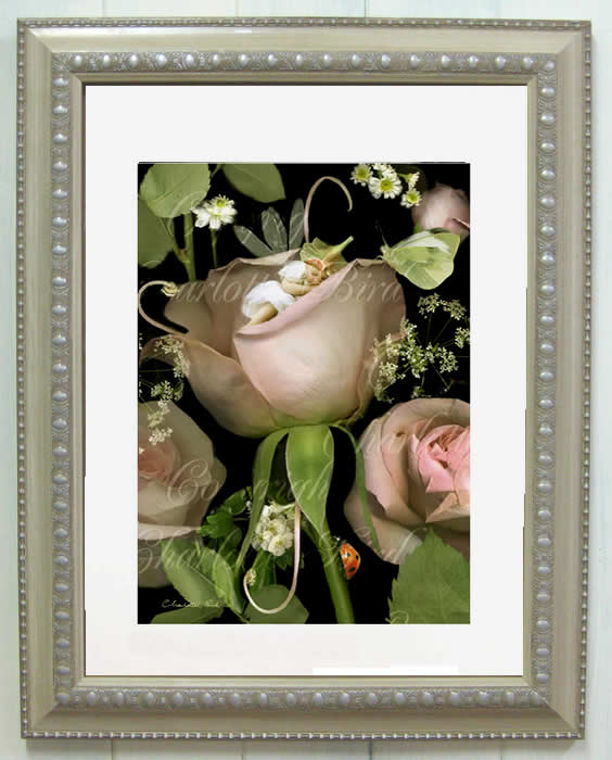 楽天市場】天使 妖精 絵画 サマーフェアリー シャーロット バード