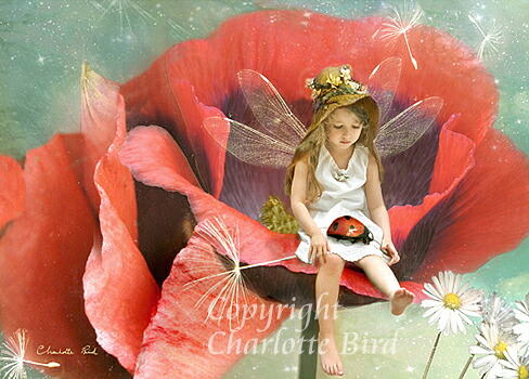 楽天市場】フラワーフェアリーの色鉛筆セット(12本）シシリーメアリー