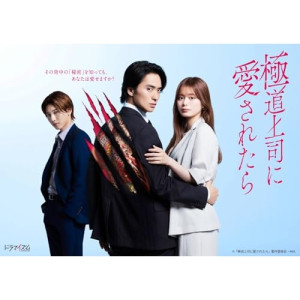 DVD / 国内TVドラマ / 極道上司に愛されたら DVD BOX (本編ディスク2枚+特典ディスク1枚) / EYBF-14901