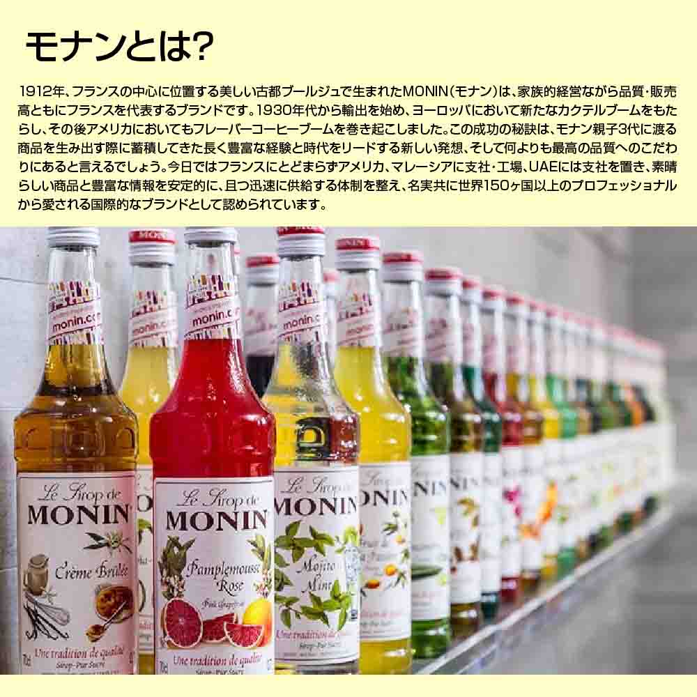 売り切り御免！】 MONIN モナン グリーンミント シロップ 250ml