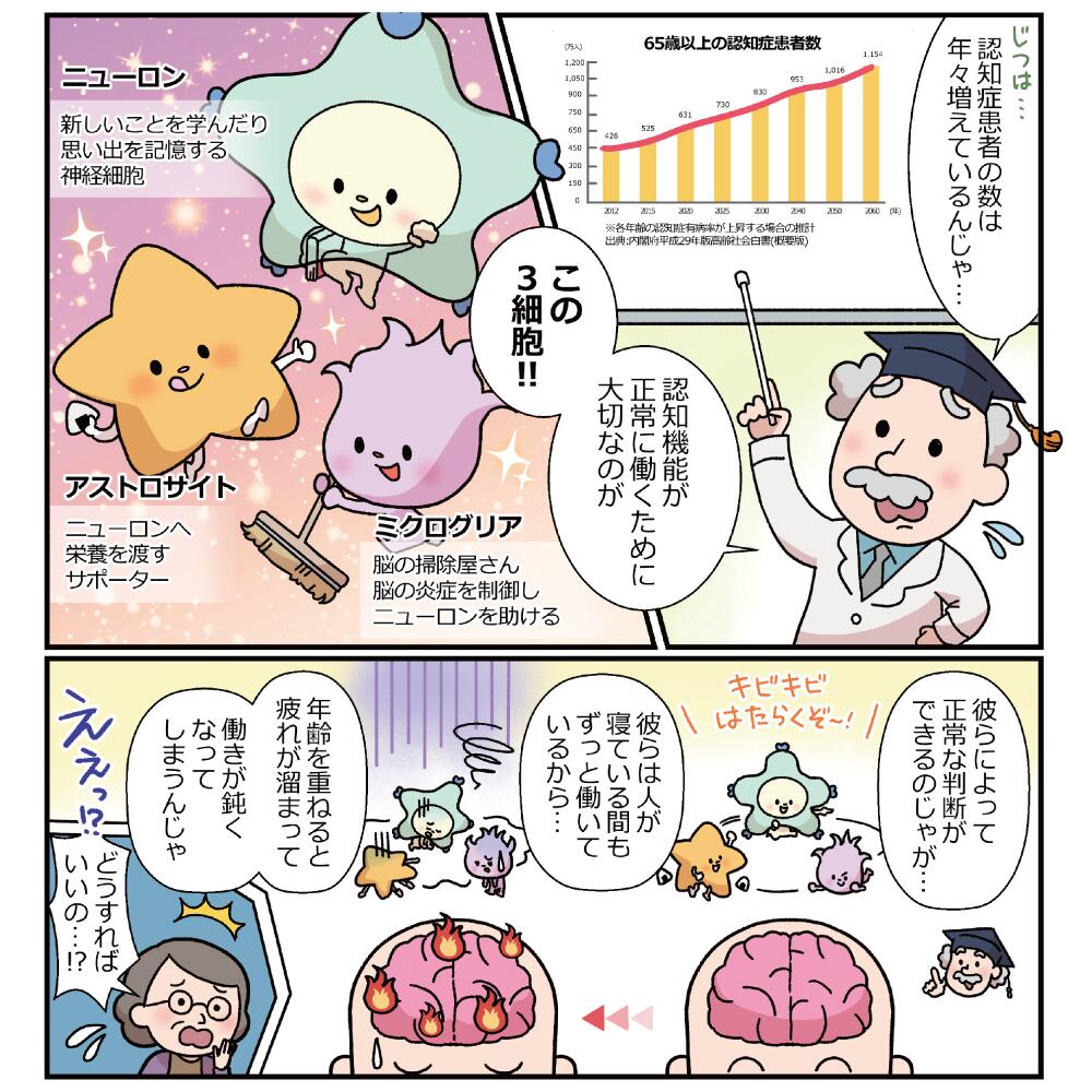 ビフィズス菌
