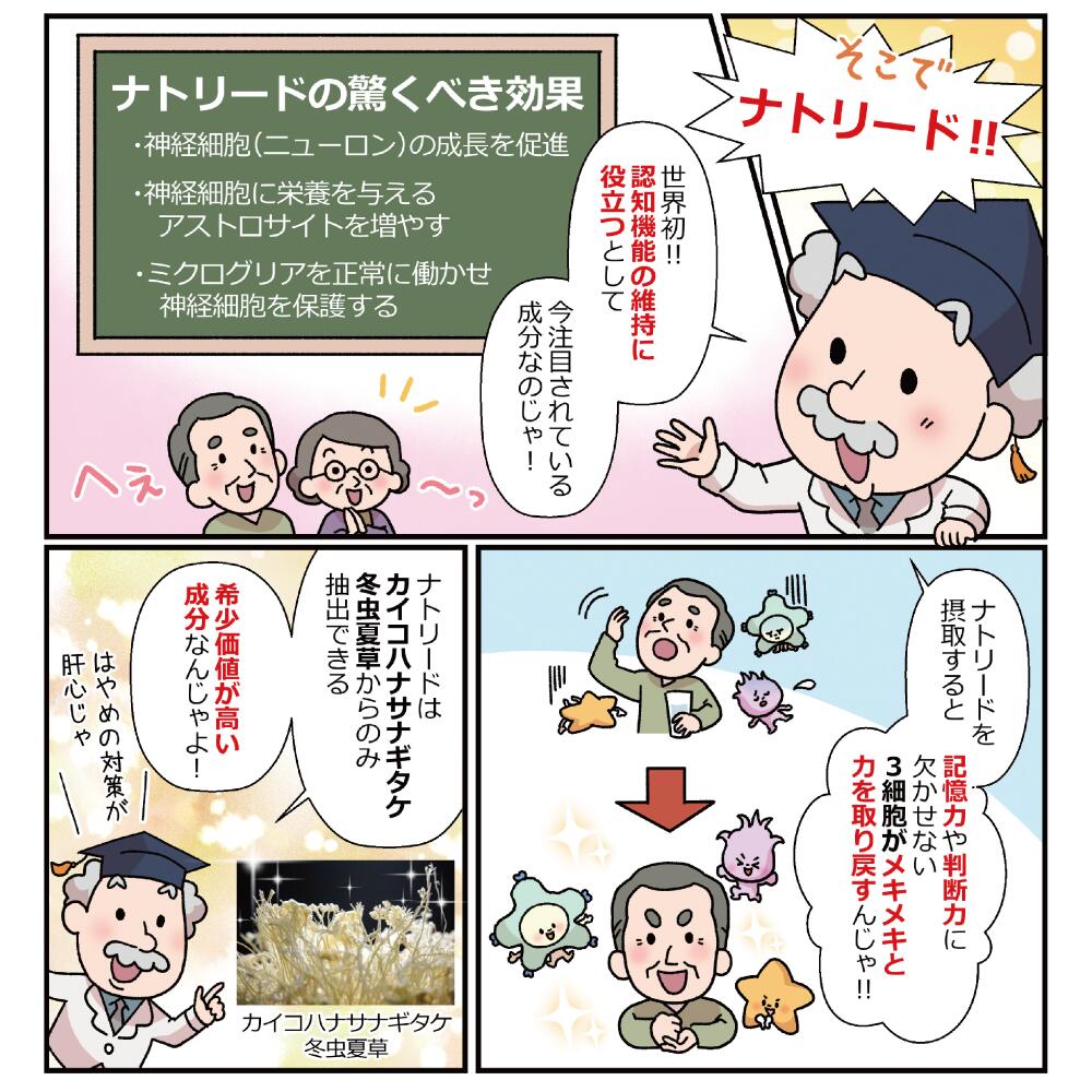 ビフィズス菌