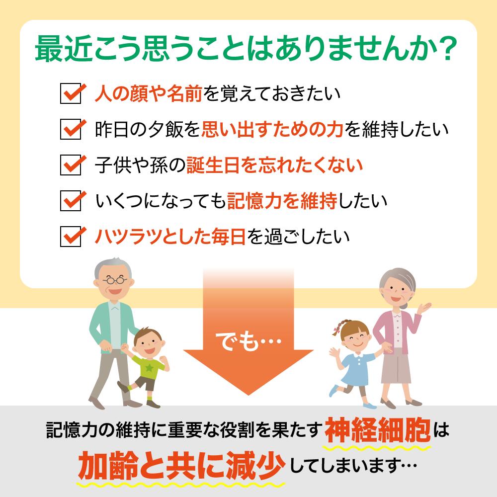 ビフィズス菌