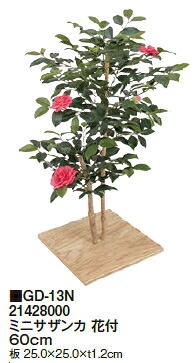 タカショーエクステリア ミニサザンカ 花付 60cm GD-13N|ケンチクボーイ