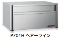 杉田エース　レターボックス　P701　ヘアーライン（H）　ラッチ錠　248-420｜ケンチクボーイ