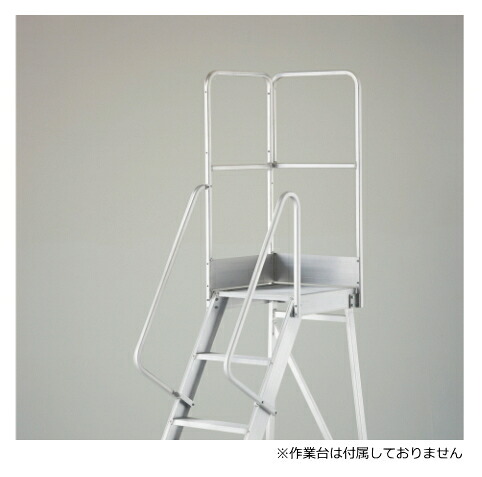 ハセガワ 専用手摺りオプション 片側開口部手摺り(働き掛ける似ている) DA-TK110 \u003cBR\u003e※代引っ張ること不可・人間宅宛て送りとどける不可