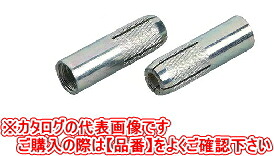 サンコーテクノ シーティーアンカー CT印字機（クロメート） inねじ CT-3070【1箱/50本入】 W3/8 全長70