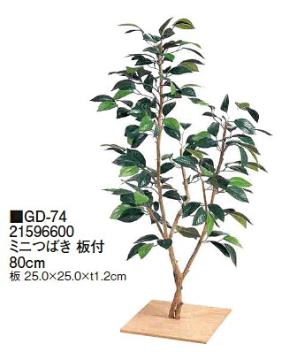タカショーエクステリア ミニつばき 板付 80cm GD-74|ケンチクボーイ