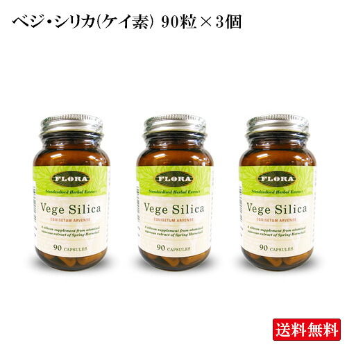ベジ・シリカ 90粒×3個 900円OFF ベジシリカ フローラハウス カナダ産 杉菜 草木 安全性のある楽になること 吸い入れるしやい 水抽き出し 珪素ケイ素 加えること 二酸化ケイ素水 砿物 加齢打つ手 ハリ 柔軟性 奥ゆかしいやって行く 働き分かりやすい コラーゲン Ca 小魚 貨物輸送無料 面白がる締め切り日：2027.03.31