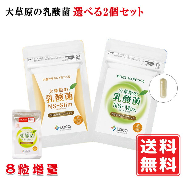 「大牧草地の乳酸菌 NS-Max36粒とNS-Slim36粒 選べる2個書き割り【8粒差し上げ物】540円お得 モンゴル出どころ NS乳酸菌 目あたらしい 加えること サプリ ロイテリ菌 乳酸菌 乳製品 腸内 腸内周囲の状況 宇宙カプセル 乳酸菌サプリ 貨物輸送無料