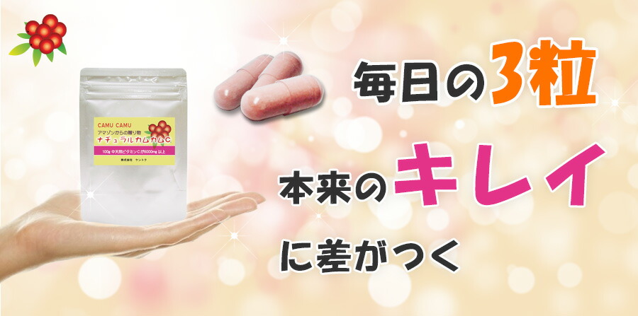 無し農薬生れつき 自然カムカムc真珠状 90粒 5個 430丸形お利 サプリ 美容 足前 エイジング手当て ポリフェノール ヴィタミン アマゾン カムカム ビタミンc 健常食料雑貨類 栄養物見次ぐ食品 美容サプリ ビタミンサプリメント 上皮ケア Lapsonmexico Com