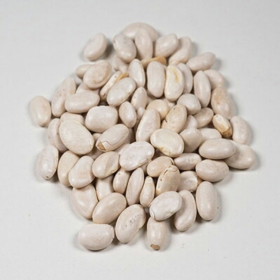 有機グレートノーザンビーンズ(インゲン豆の仲間)/11.33kg【アリサン】 Great Northern Beans