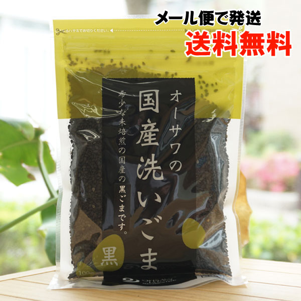 楽天市場】濃いねりごま(白)/100g【カタギ食品】【メール便の場合、送料無料】 : 健康ストア 健友館