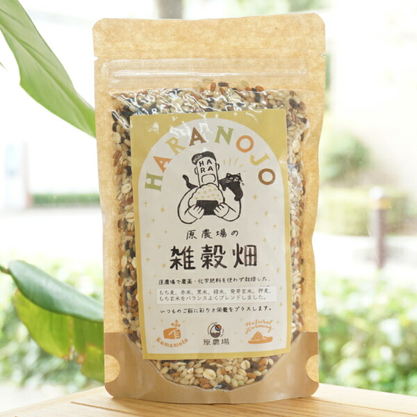 旭一号玄米10Kg農薬化学肥料不使用 楽天市場】玄米 旭一号 5kg 元田旭 自然栽培10年以上 熊本県産
