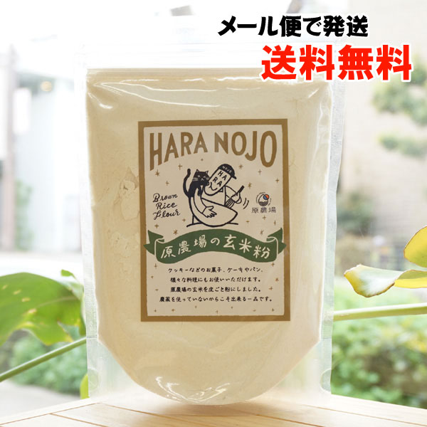 送料無料 お肌のコラーゲン 1袋に110,000mg 100％コラーゲン 110g×2 ぷるぷるの素 コラーゲンパウダー 健康ストア健友館 大容量  潤い 粉末 美容 期間限定特価品 ぷるぷるの素