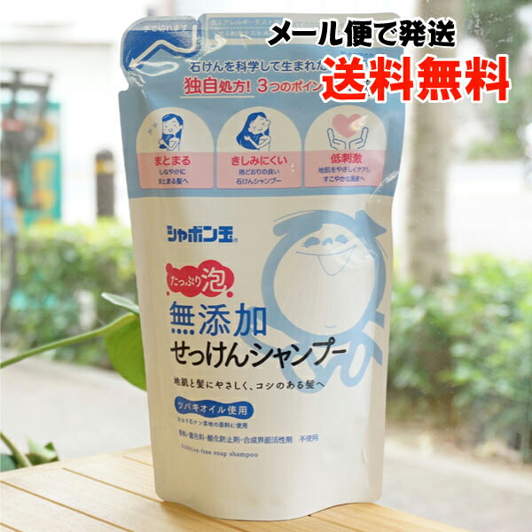 天照ル初めてセット （天照ル君ノシャンプー 300ml＋天照ル君ノ
