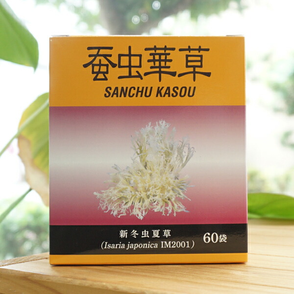 楽天市場】ノエビア 西藏冬虫夏草 (チベットトウチュウカソウ