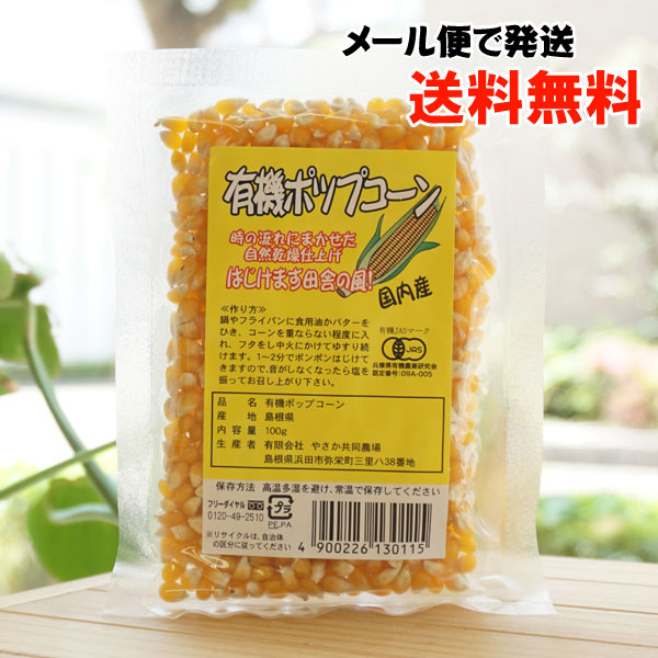 牧場物語　販促ＰＯＰ　ポップ　ＧＣ　未使用 006348m.jpg