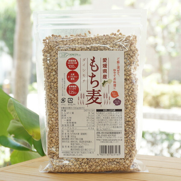もちむぎ 贅沢穀類 もち麦MIX63 ( 500g*2袋セット ) : 爽快ドラッグ - 通販