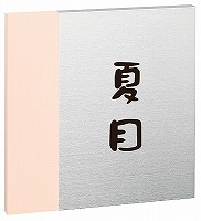 表札 戸建 アルミ表札 ネームプレート いろどり　EIRO-2-117（コゲ茶） エクスタイル