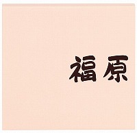 表札 戸建 アルミ表札 ネームプレート いろどり ESH-2-133（コゲ茶） エクスタイル