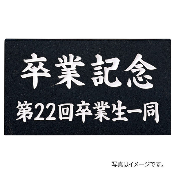 【6月はエントリーでP5倍】 福彫 館銘板・営利主義息吹き 天然石 黒ミカゲ(白文字記号) AZ-15