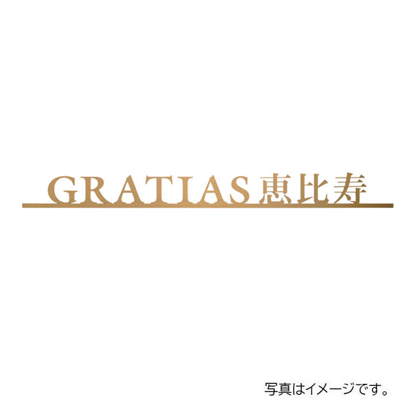 【6月はエントリーでP5倍】 福彫 館銘板・商業主義表われ 切文字記号・箱文字記号 ステンレスチタンゴールド切文字記号館銘板 KZ-72