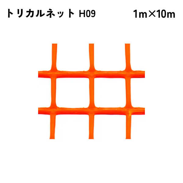 【法人限定】 タキロンシーアイ トリカルネット 10m入り H09