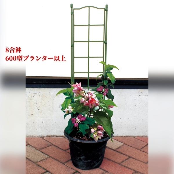 フラワーパネル トレリス つる性植物 プランター 家庭菜園 ３連 アイアンフェンス スチールフェンス ベランダ