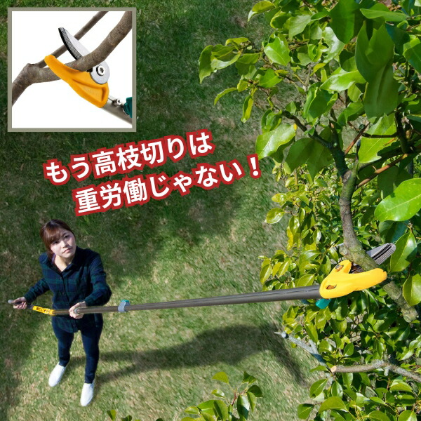 楽天市場】軽い力でラクラク切れる 軽量 18段 伸縮 高枝切りバサミ