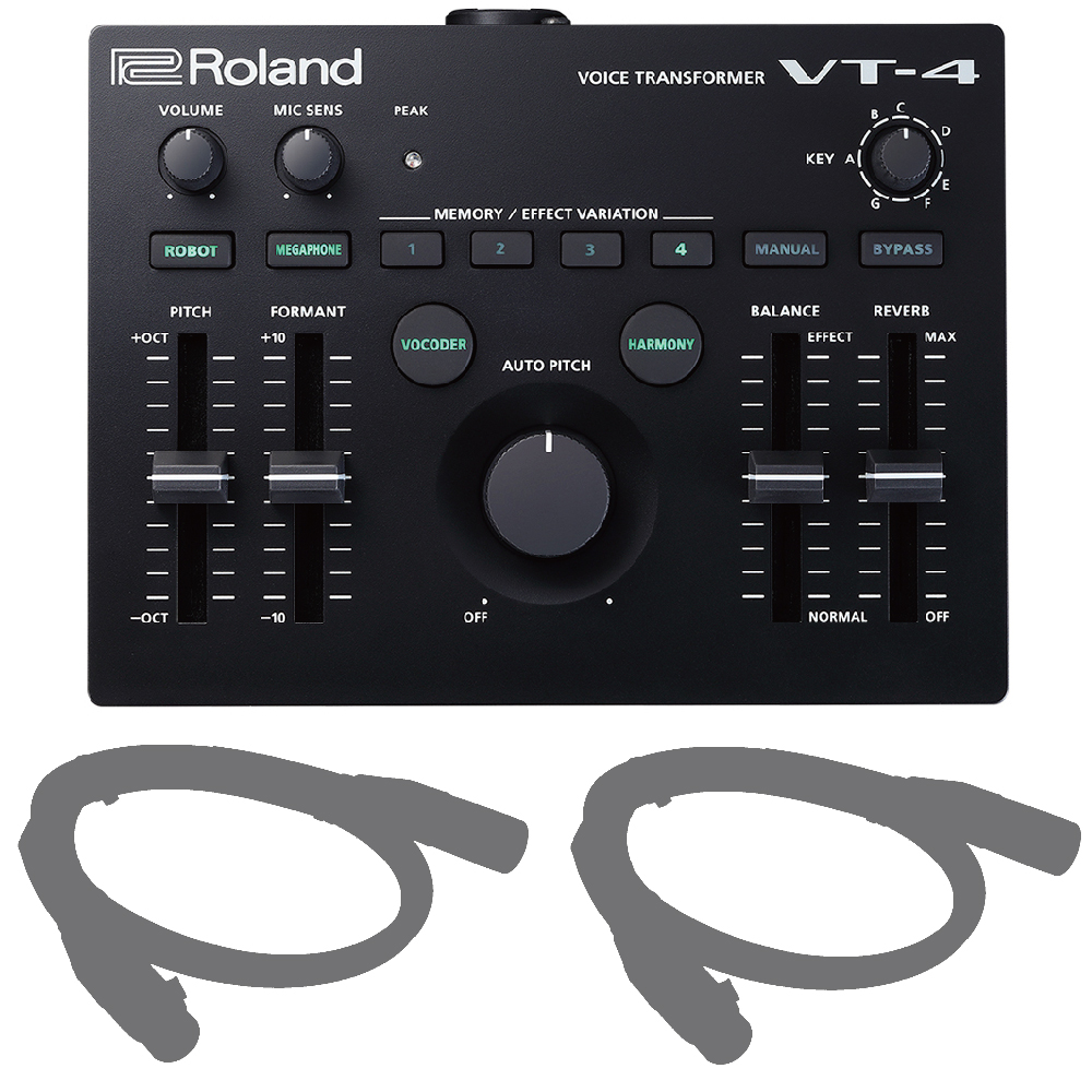 Roland VT4 VOICE Transformers | angeloawards.com