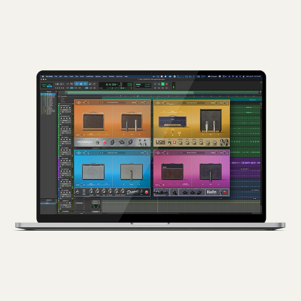 UNIVERSAL AUDIO UAD Guitar Amp Bundle V2 【ダウンロード版/電子メール納品】 音楽制作-パソコン・周辺機器