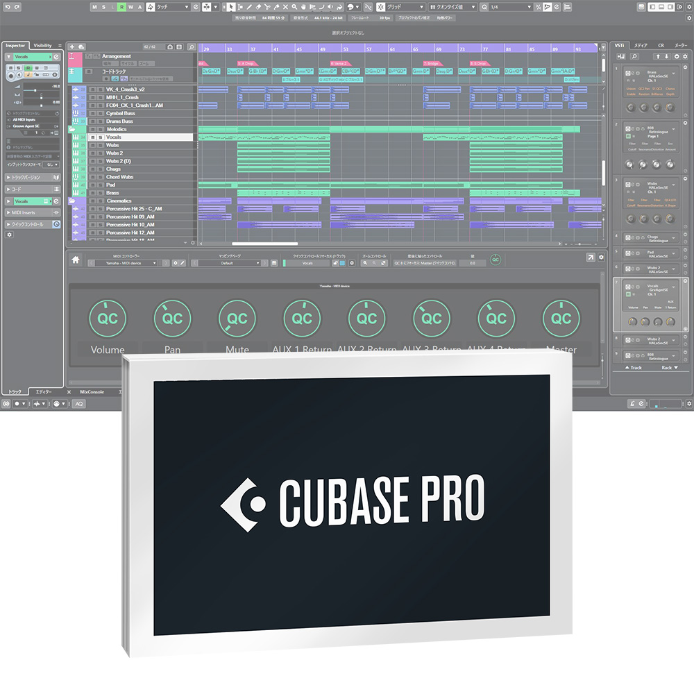 送料無料お手入れ要らず Steinberg Cubase Pro 12 通常版 <BR