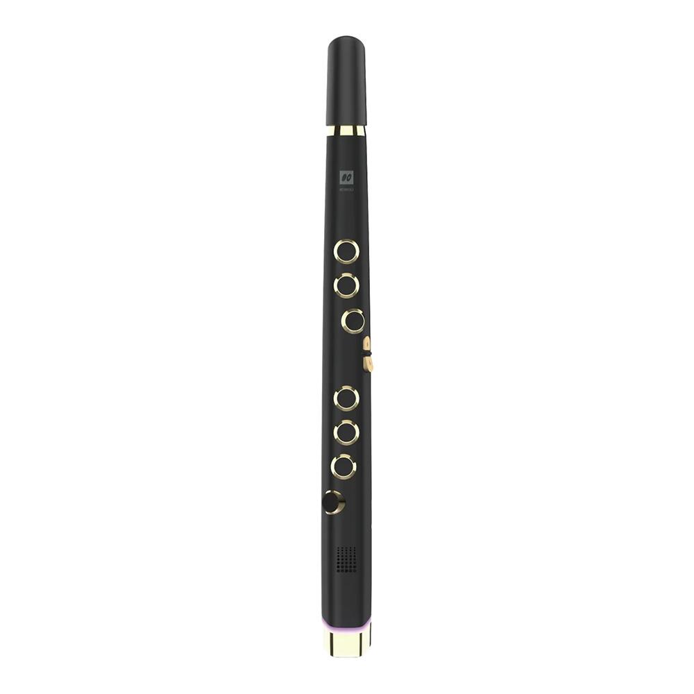 Robkoo Clarii mini Ebony Gold ロブクー ウィンドシンセサイザー クラリミニ