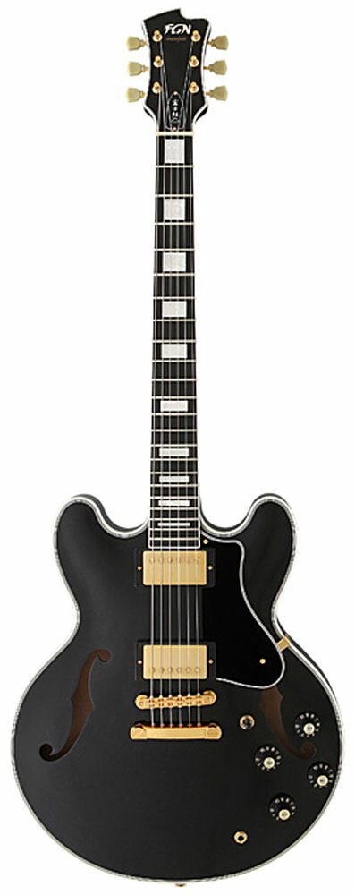 FUJIGEN(FGN) Masterfield MSA-HP/AS (Antique Sunburst