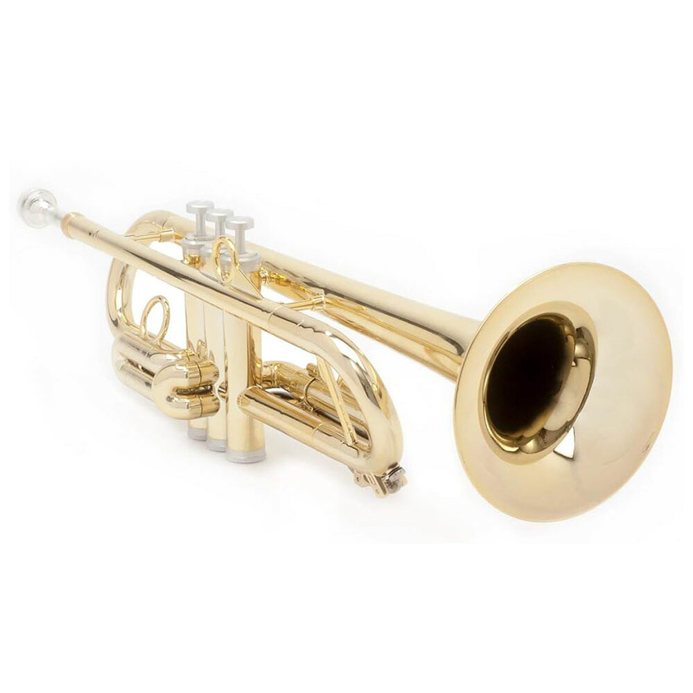 pInstruments PTRUMPET1HTG/GOLD プラスチック製トランペット 【専用ケース付き】
