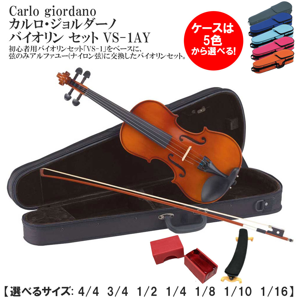 バイオリンセット カルロジョルダーノ(Carlo giordano) imgrc0098920426.jpg