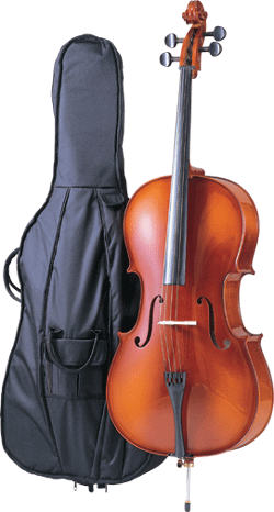 チェロ　Carlo Giordano SC-300 imgrc0064255404.gif
