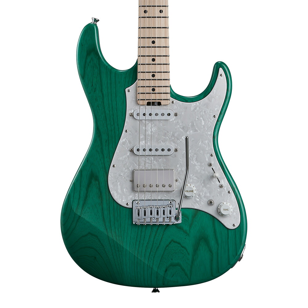 EDWARDS E-SNAPPER-AS/M TQ (Turquoise)