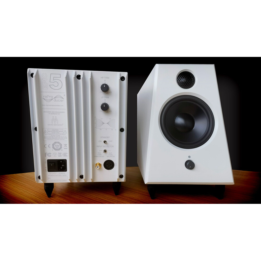 Reproducer Audio Epic 5 White ペア 送料無料 Timgroomarchitects Com
