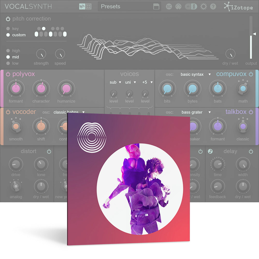 iZotope VocalSynth 2 [メール納品]