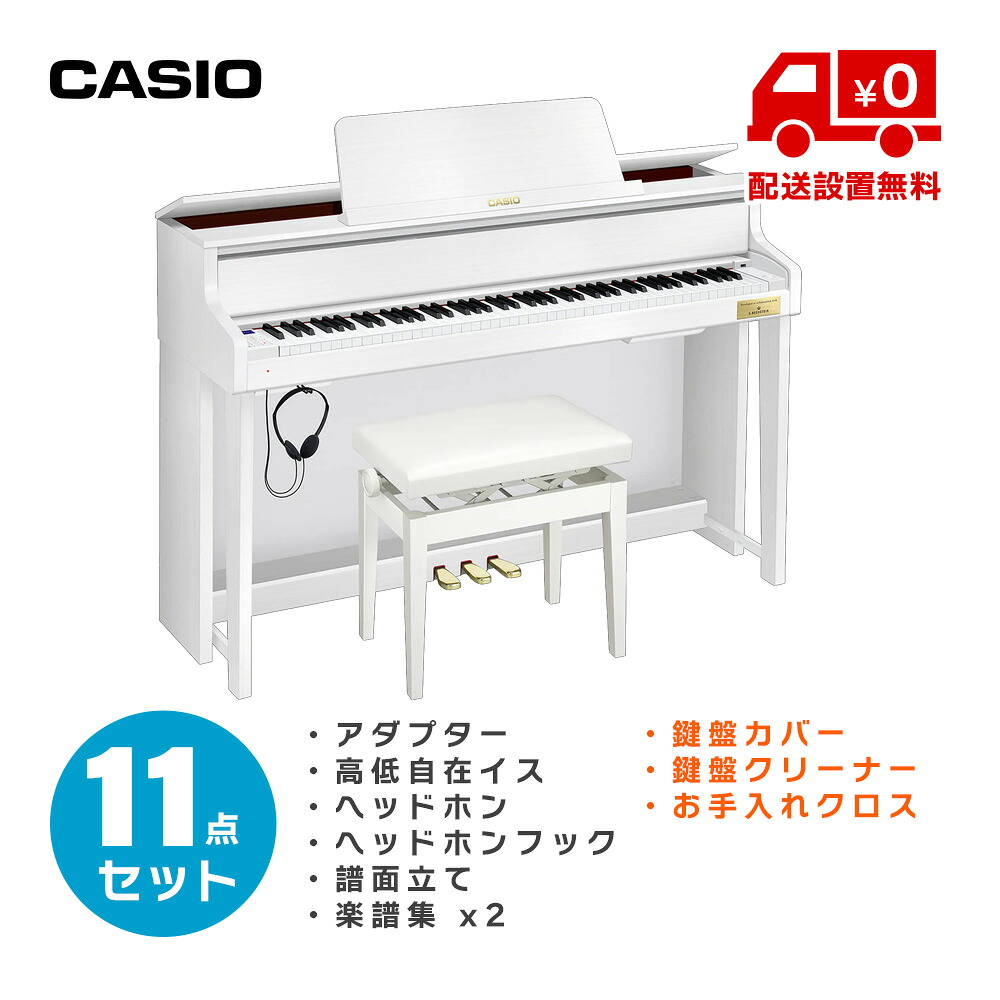 CASIO GP-310 WE お手入れ用品付き11点セット (標準配送設置無料)